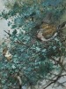 &Acirc;&sect; George Edward Lodge (1860-1954) - 2