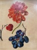 Attributed to Anna Maria van Veeren (Dutch, 1806-1890) - 5