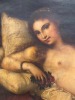 Adalnisa Parrini (Italian, 19th century) after Titian - 6