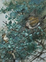 &Acirc;&sect; George Edward Lodge (1860-1954)