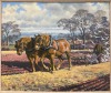 &Acirc;&sect; Charles Frederick Tunnicliffe OBE RA (British, 1901-1979) - 2