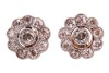 A pair of diamond-set floral earrings, with a central old-cut diamond, each with an estimated carat weight of 0.42ct, surrounded by nine smaller old-cut diamonds, with millegrain detailing, in bi-colour metal mounts, with later added post fittings hallmar