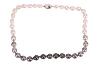 A Tahitian cultured pearl necklace, comprising a string of baroque pearls in graduated shades of grey to white colour, completed with a pin clasp marked silver top GSV bottom patent, 48.5 cm long, 67.8 grams.